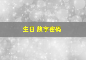 生日 数字密码